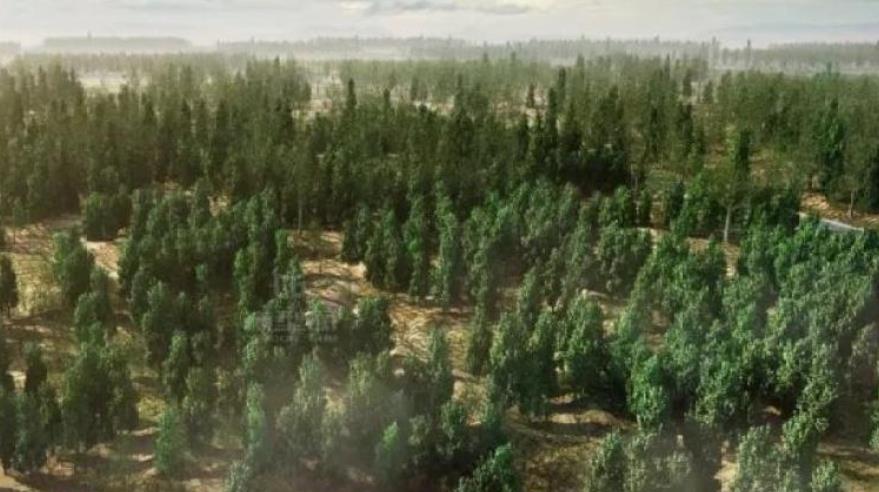 榆林 中国治理成功的沙漠,让沙漠边缘的这座城市,变成了“大漠绿洲”