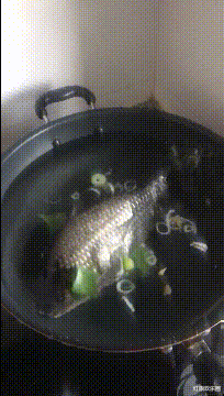 青田|“新交了一个幼师女友，这对我有什么优势？”评论区过于真实