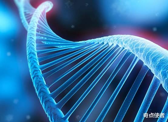 重庆出现一只无毛鸵鸟,身上没有一个毛孔,这是变异物种?