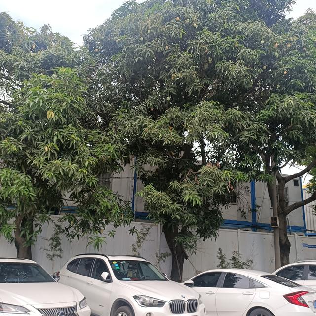 购房置业|买房的时候要不要买车位？过来人提出“良心建议”，供你参考