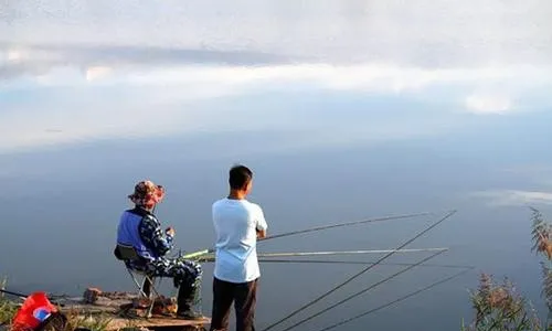 长江|夏天钓鱼，不想打窝没效果，这些打窝的忌讳，就不能不了解一下