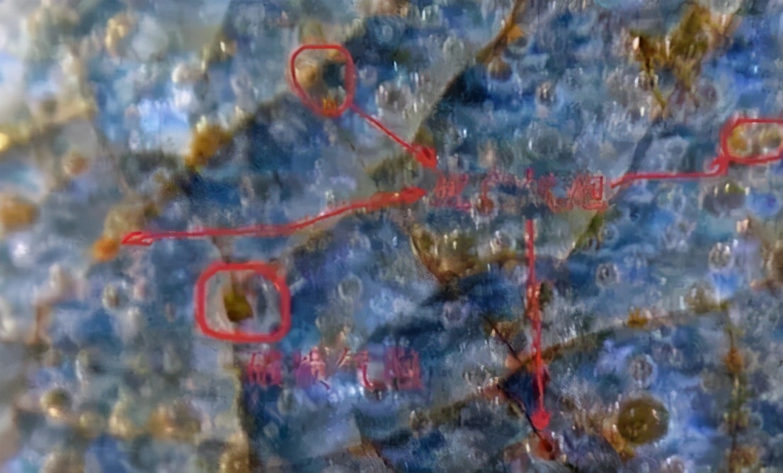 银元|为什么宋元明清瓷器釉下,会普遍出现气泡