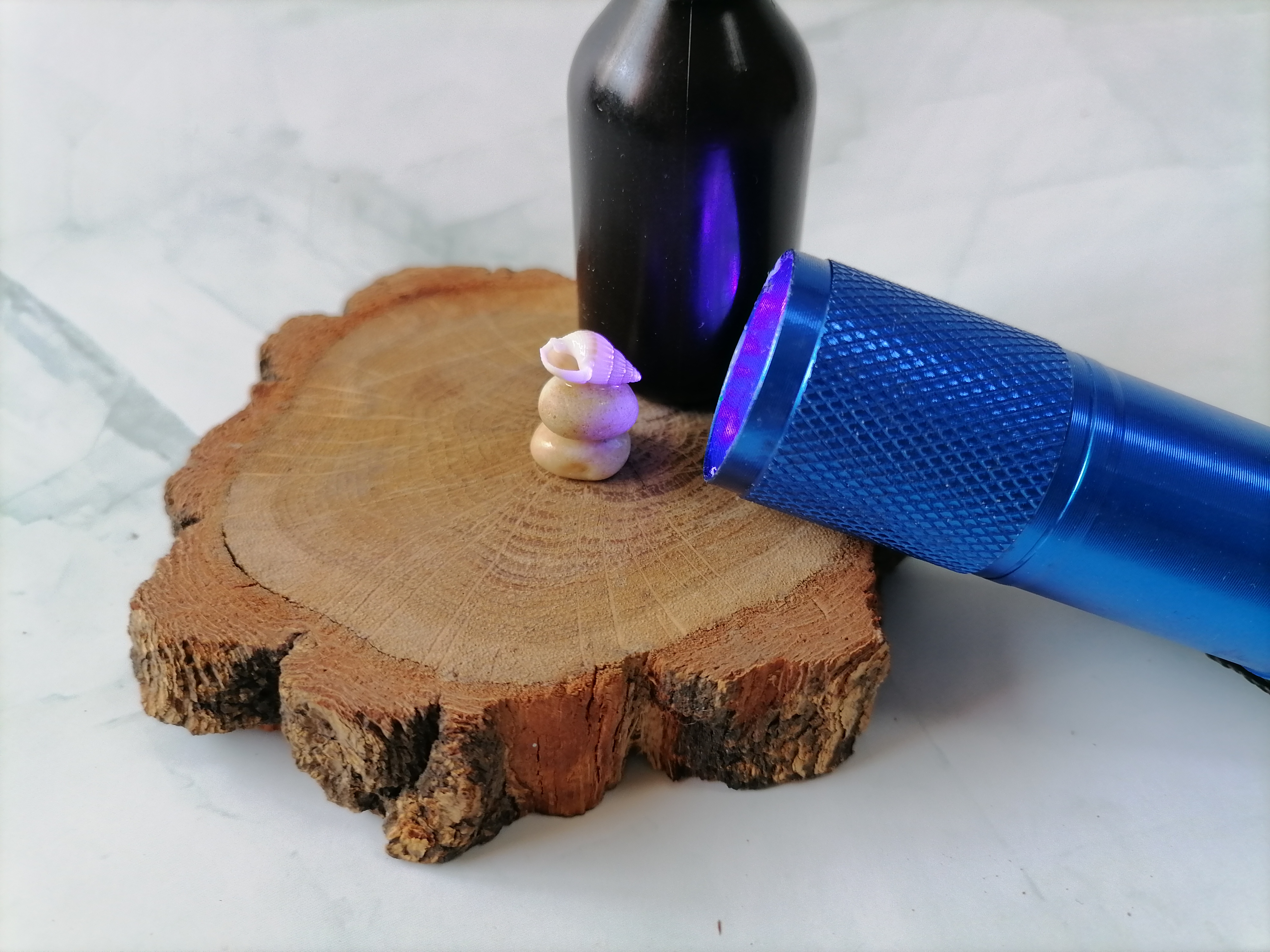 盆景|【宝藏工坊】面包捆扎绳创意大改造，变身可爱迷你盆景