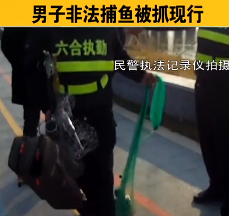 白鲢|南京锚鱼人被当场抓获, 鱼获一条2斤白鲢, 喜提收杆罚款一条龙服务