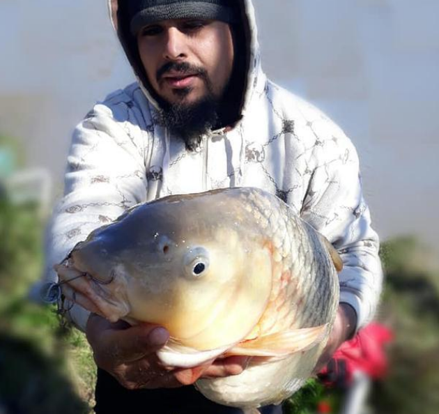 相声|美国人不吃淡水鱼?嫌刺多?假的。美国主播亲口告诉你原因是什么