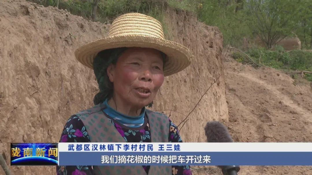 陇南广播电视台 武都：学史力行重实效，为民办事我先行