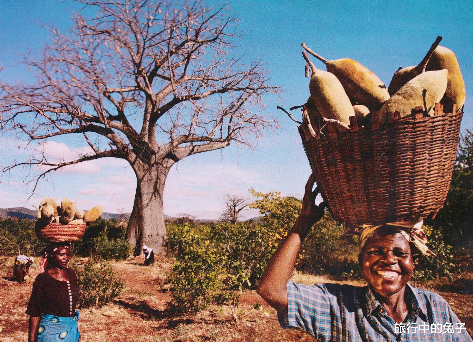 科学家 非洲“怪湖”，一夜夺走2000人生命，专家抽干后在湖底找到元凶
