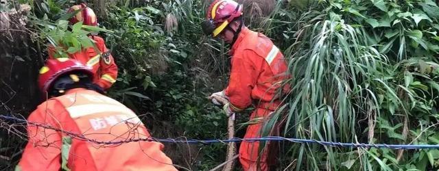 华仔体育说 广西一农家乐现30公斤大蟒蛇，老板称：“200只鸡疑被它吃掉了”