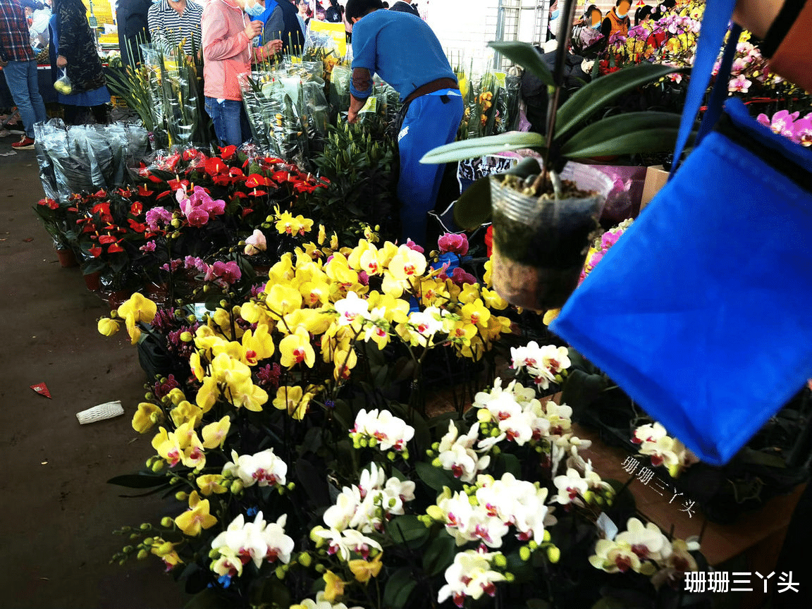 珊珊三丫头 实拍在广州乡镇“趁墟”,春节前许多人来办年货,感受浓浓的年味