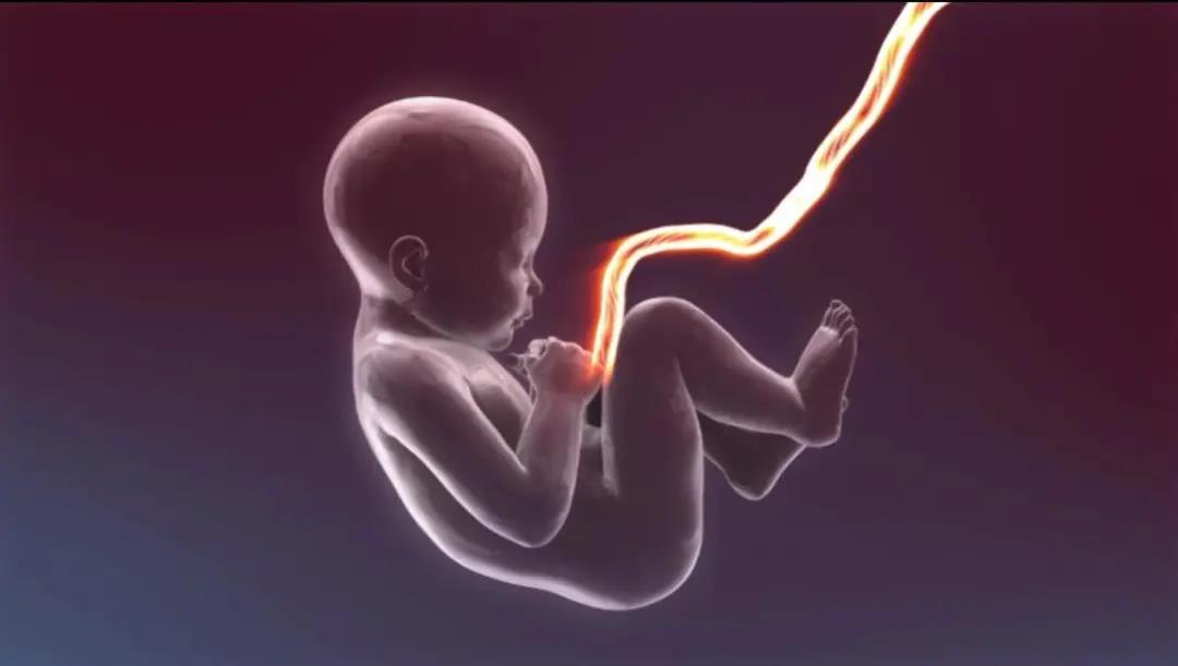 |给孩子最好的保险——羊水干细胞存取更容易！