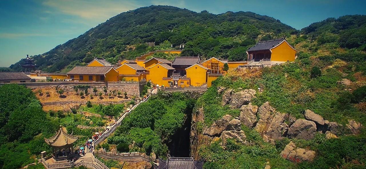 科学家 浙江有的稀有树木，全国一株，科学家用克隆技术拯救