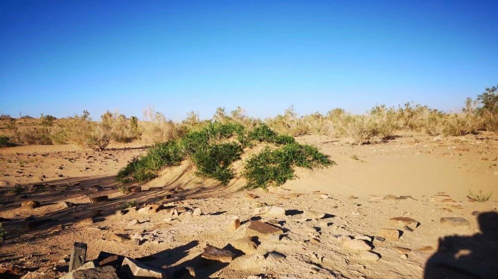 奶球妈咪聊|三角城遗址：中国沙井文化最具代表性的文化遗存