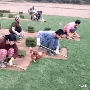 小谷阳|“每次跟男朋友来宾馆就很烦，我该怎么办？”评论区太逗了哈哈哈