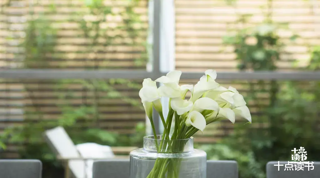 西游记|成年人最顶级的自律，拒绝内耗