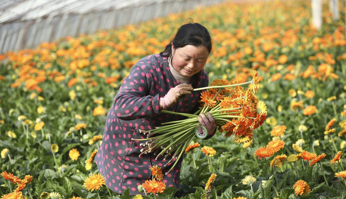 赵忠尧 世界欠他一个诺贝尔奖——赵忠尧