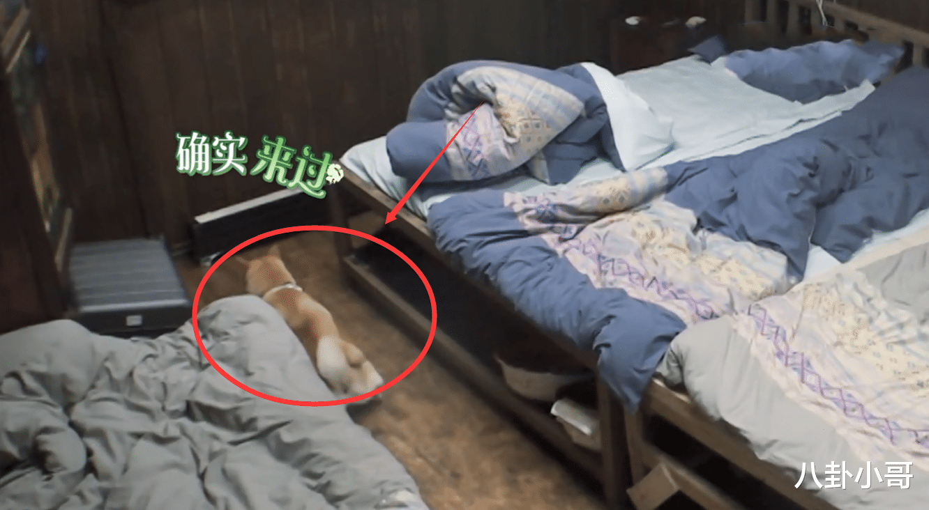 张艺兴|张艺兴《向往5》翻车告诉我们：录节目请认真，别总拿工作当借口