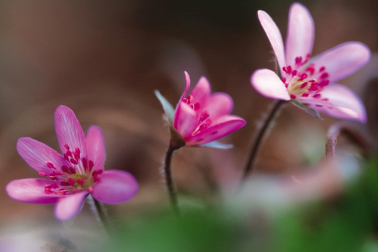 仲念念 老公负债百万，我觉得活不下去了，却被母亲用两句话点醒