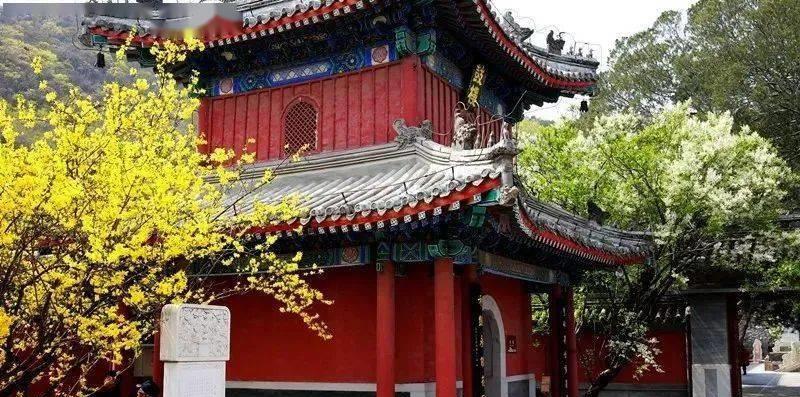 奶球妈咪聊|戒台寺：已有千年历史的寺庙，备受游客喜爱