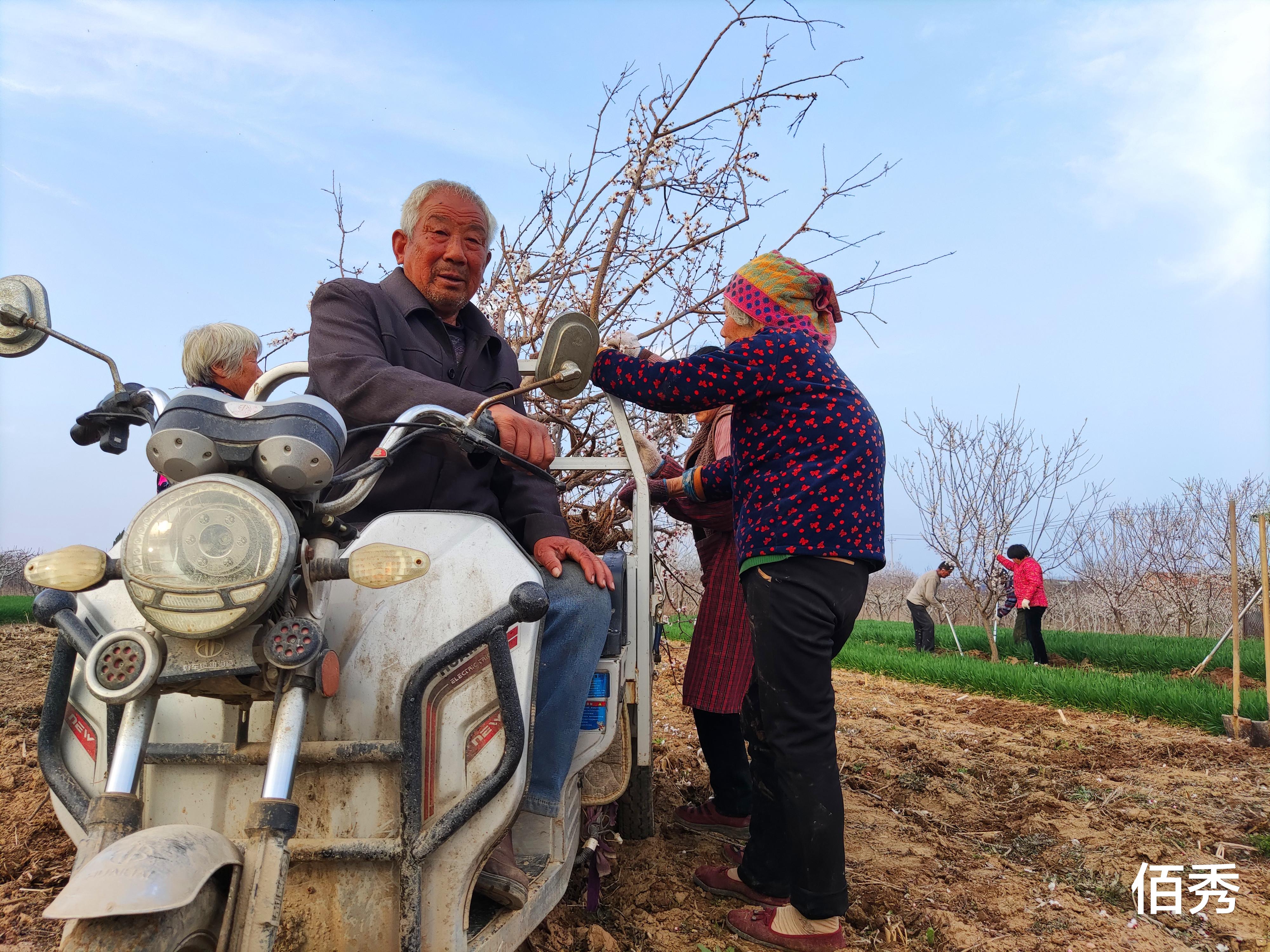 佰秀 农村大叔培育果树苗，坚持10年不涨价，比肩山东拉面哥