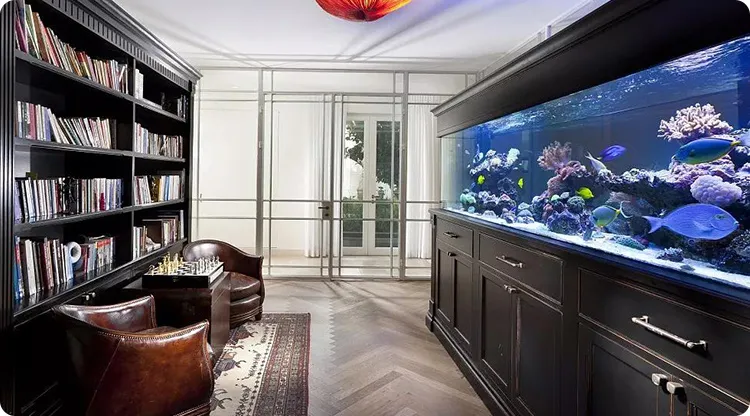 玄风八字感情|五行缺水财运差,教你装修妙招来解决!