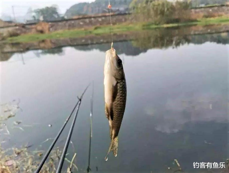 |冬季野钓，哪些地方不宜作钓，哪些地方是黄金钓位？应该何时出钓