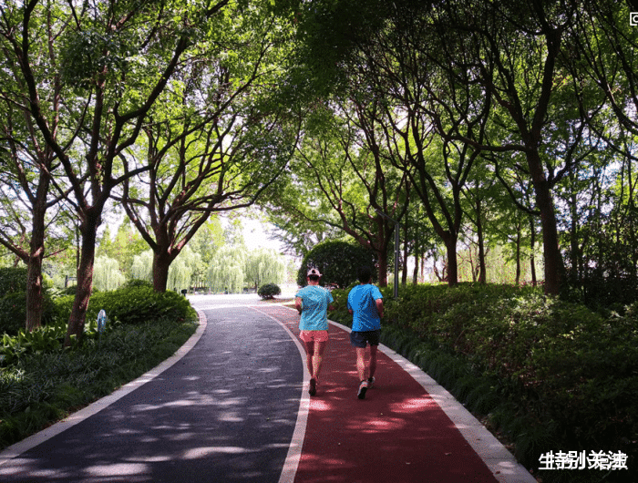 鞋子|国产鞋“劳斯莱斯”：在外国称为“平价耐克”，但国人却视而不见