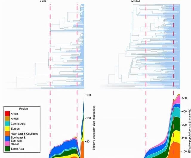 7000年前女人数量或比男人多了17倍,究竟发生了什么?