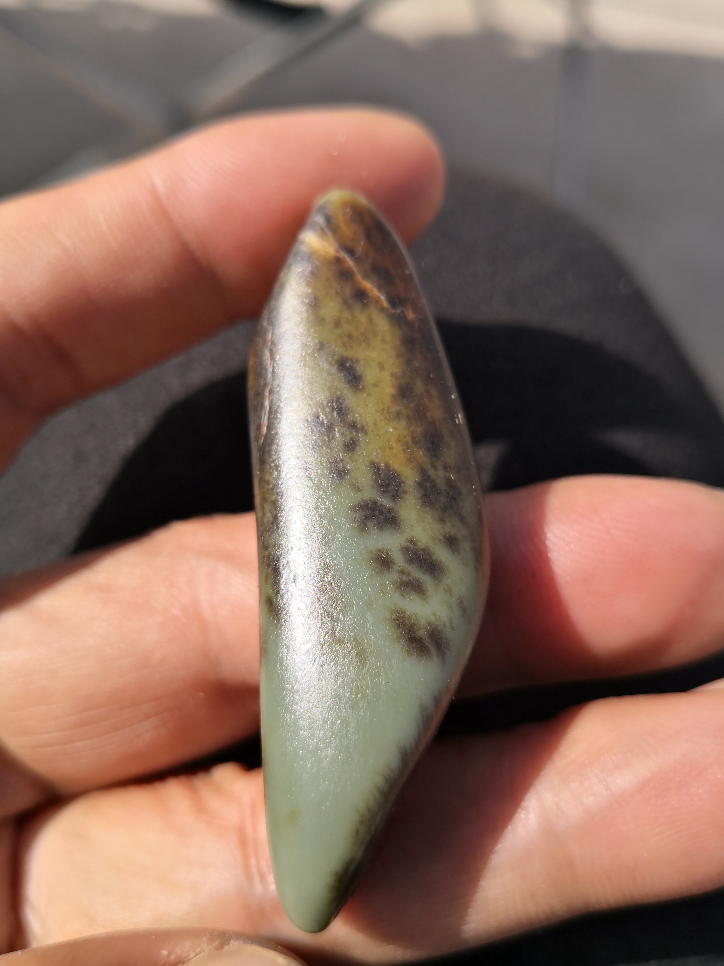 |最新贵族沙枣青