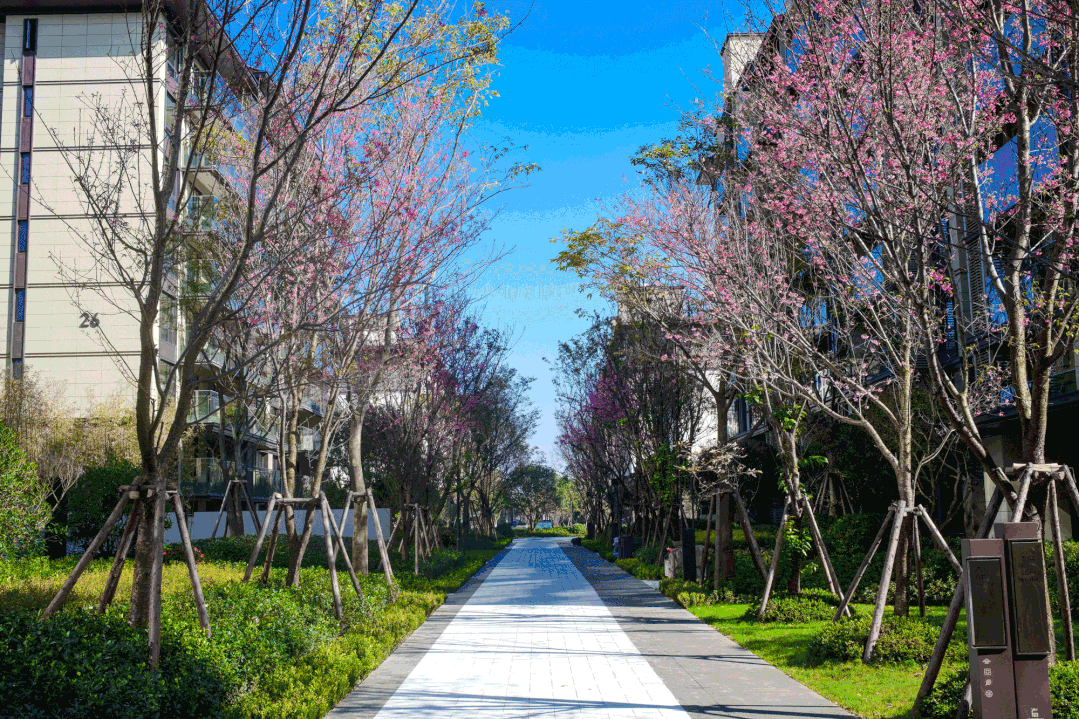 昆明|年底集中交房 但这样的“硬核”小区还是第一次见