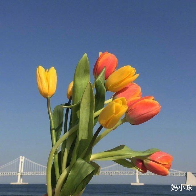 妈小咪|人到中年，赚钱上瘾，才是人间清醒