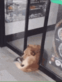 |“回家看到女朋友在瑜伽垫上睡着了，我是被绿了吗？”