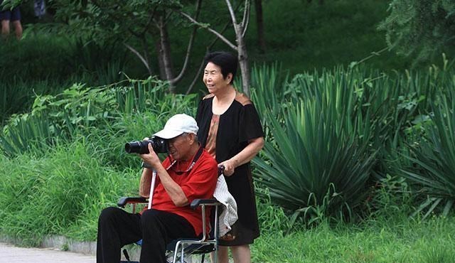 月落等风來|2021年起,加装电梯不再“嫌贵”?单次仅需几毛钱,你愿意吗?