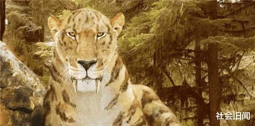 南方古猿 人类祖先并非没有天敌,远古时期曾出现一种猛兽,差点将它们吃灭绝