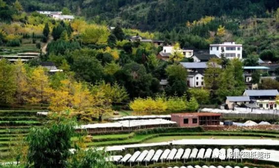 房价|计划在 “农村建房” 户口不在农村，3种方式可行