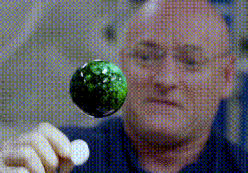 航天员 开学第一课，中国航天员挑战用筷子喝茶，这实验8年前做过？