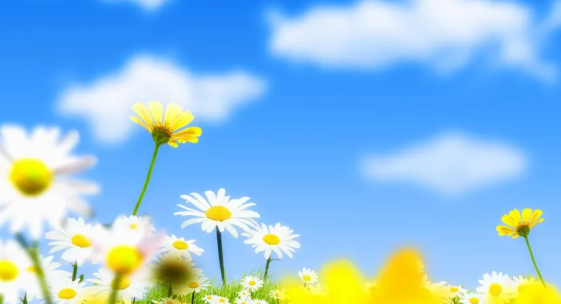 实战命理专家刘老师|日坐伤官,对情感不利,多感情烦恼,压力大