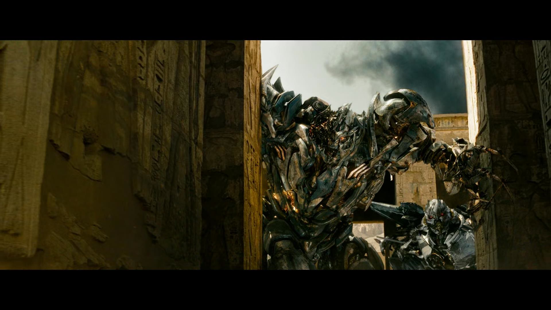 蜘蛛 只有胆小才能活下去,红蜘蛛的至理名言,不然怎么混到老二的位置