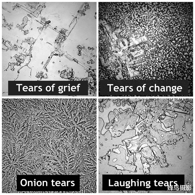  25张活久未见的照片，炸弹在几公里外爆炸，冲击波几秒钟就到眼前