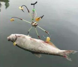 |四川射洪两男子用可视锚鱼器钓鱼被刑拘，您是怎么看的？