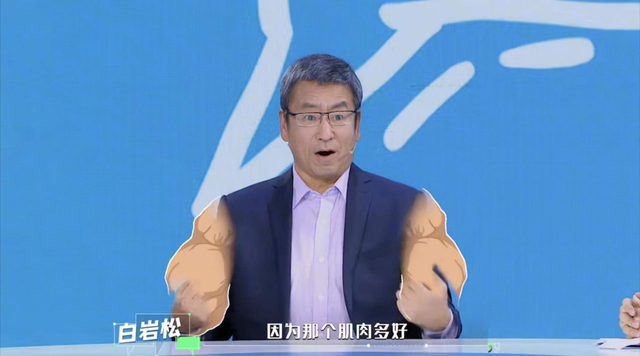 王朔|白岩松正面回应不会吧，骂我能让大家舒服点，也算是帮忙了