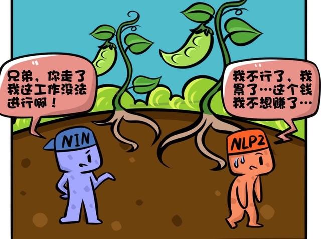 这位不会说中文的外籍科学家在上海研究植物，还研究出了名堂