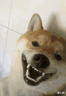 美人阁 确认过眼神,不找有留海的人哈哈哈