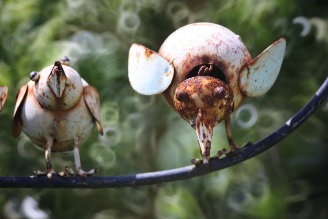 |肯高图丽正式发布折返镜头400mm F8 N II S