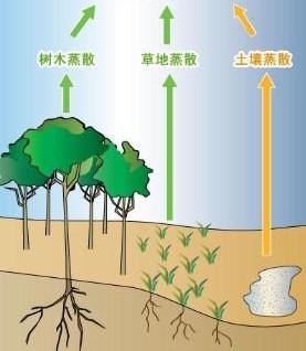 冰川期 一直喊全球变暖，又说地球即将进入小冰期，到底变暖、还是变冷？