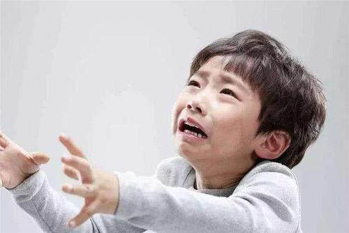 专注现代人养生解说|幼儿智力发育的黄金时期