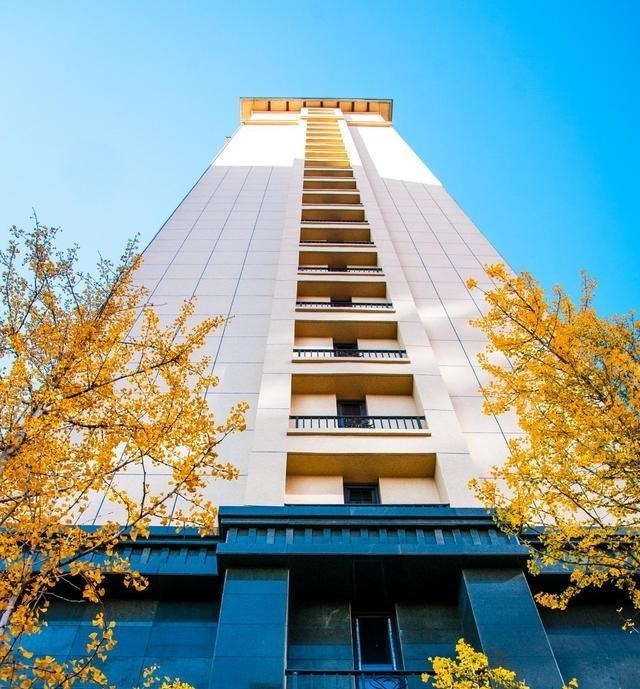 天明情感说 双11的购物车,装不下涞水的时光标本