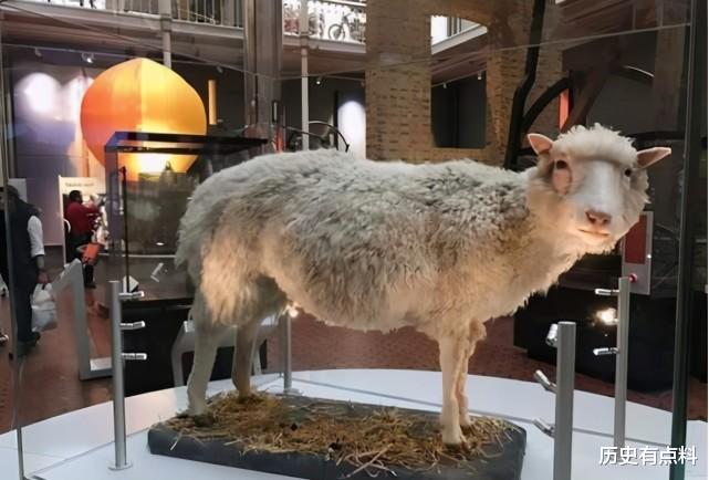 科学家 为什么现在人们很少提“克隆”了?多莉的一生就是答案,太悲惨了