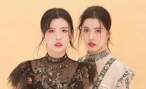 孙雨|“塑料姐妹”By2：姐姐被迫要整容，妹妹花边不断还差点嫁豪门