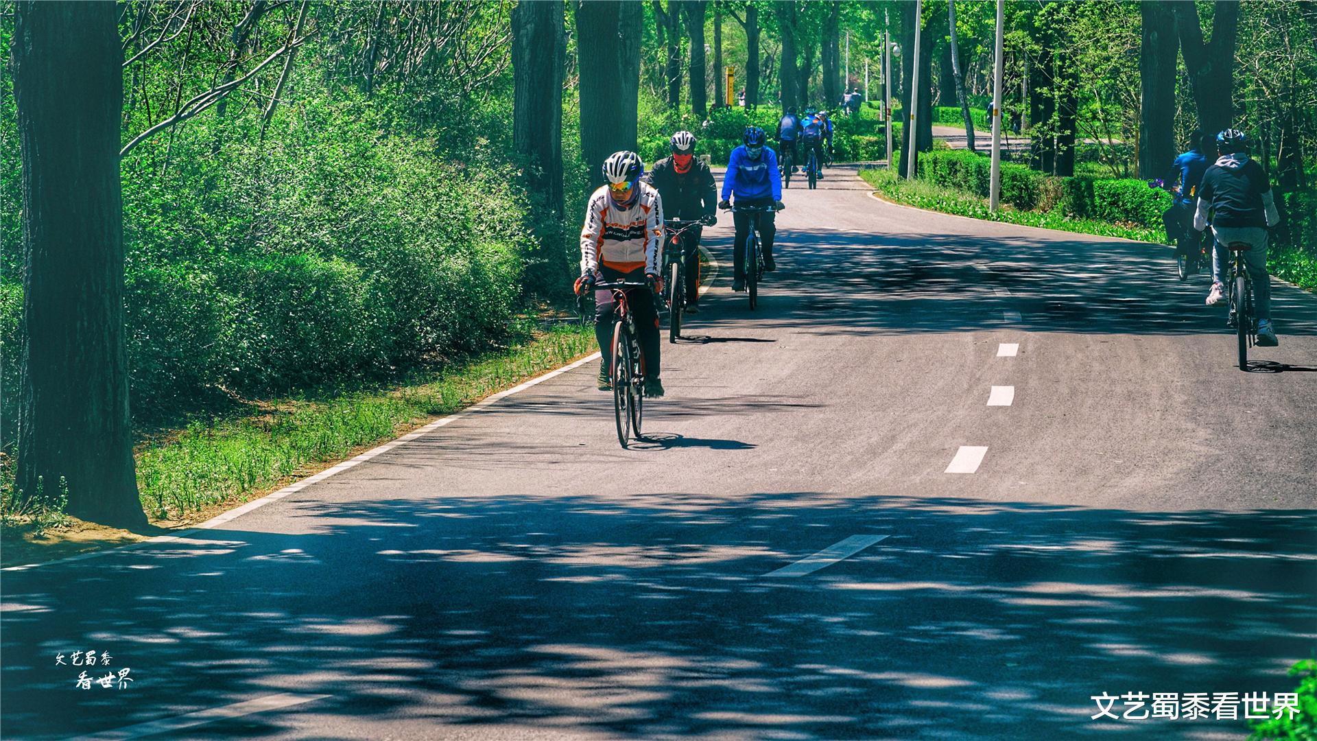 文艺蜀黍看世界 如果我说辽宁沈阳才是东北未来的宜居城市，对此您怎么看？