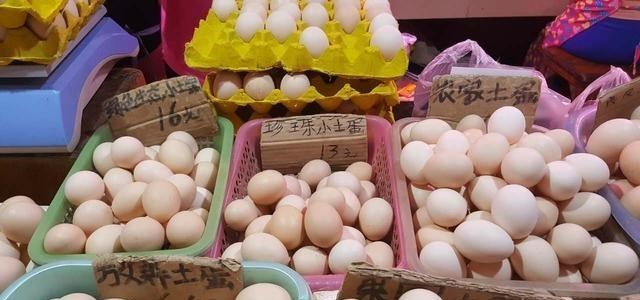 |买鸡蛋，挑“红壳”还是“白壳”？养鸡场大妈说漏嘴，以后别瞎买